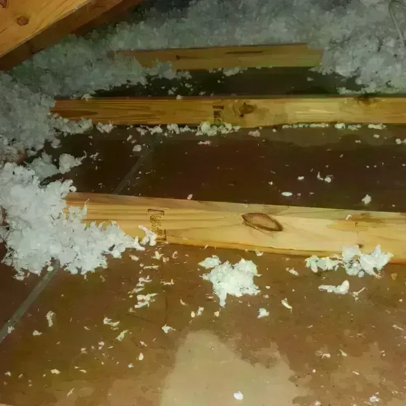 Attic Water Damage in Hansford County, TX